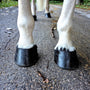 Comment bien entretenir les sabots de son cheval ?