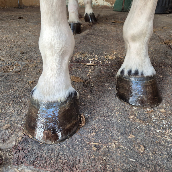 Baume Keo - 100% naturel - Entretien quotidien