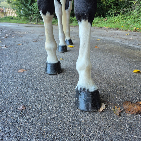 Baume Kissa - Noir intense - 100% naturel