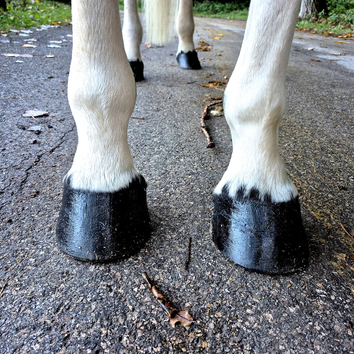 Pack Essentiels (Keo + Kissa)