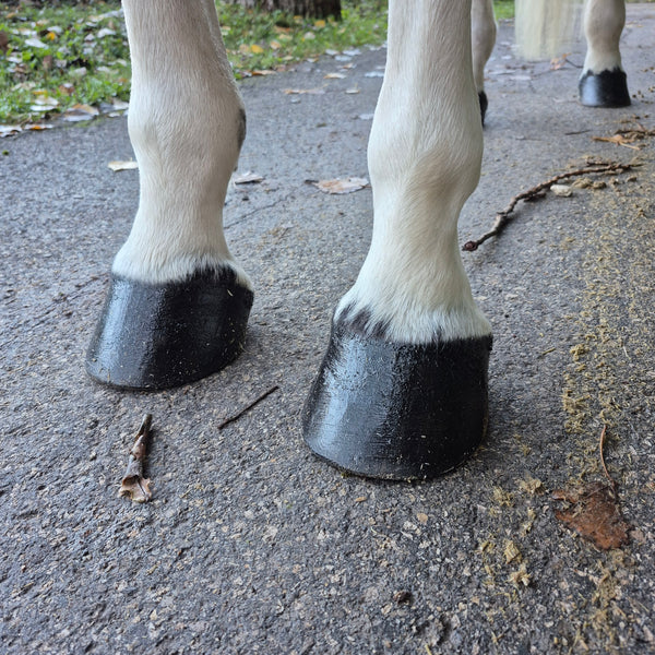 Baume Kissa - Noir intense - 100% naturel