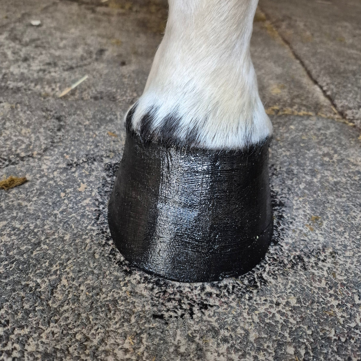 Baume Kissa - Noir intense - 100% naturel