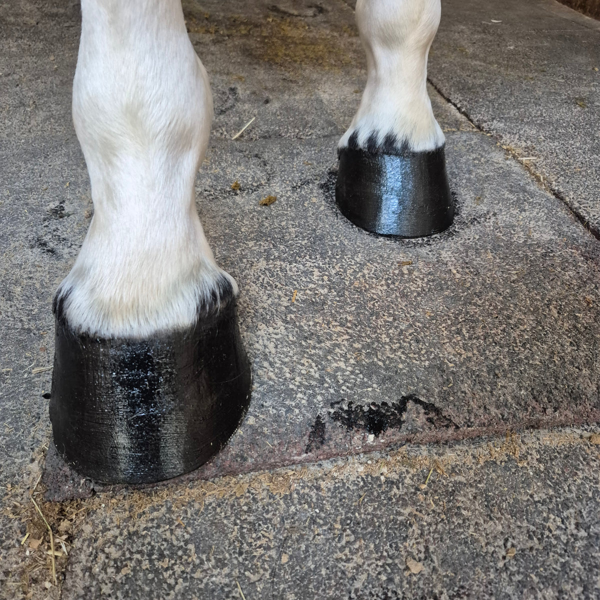 Baume Kissa - Noir intense - 100% naturel