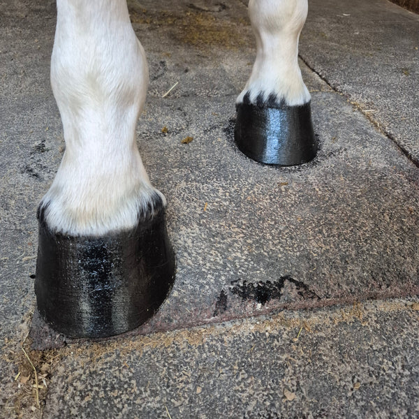 Baume Kissa - Noir intense - 100% naturel