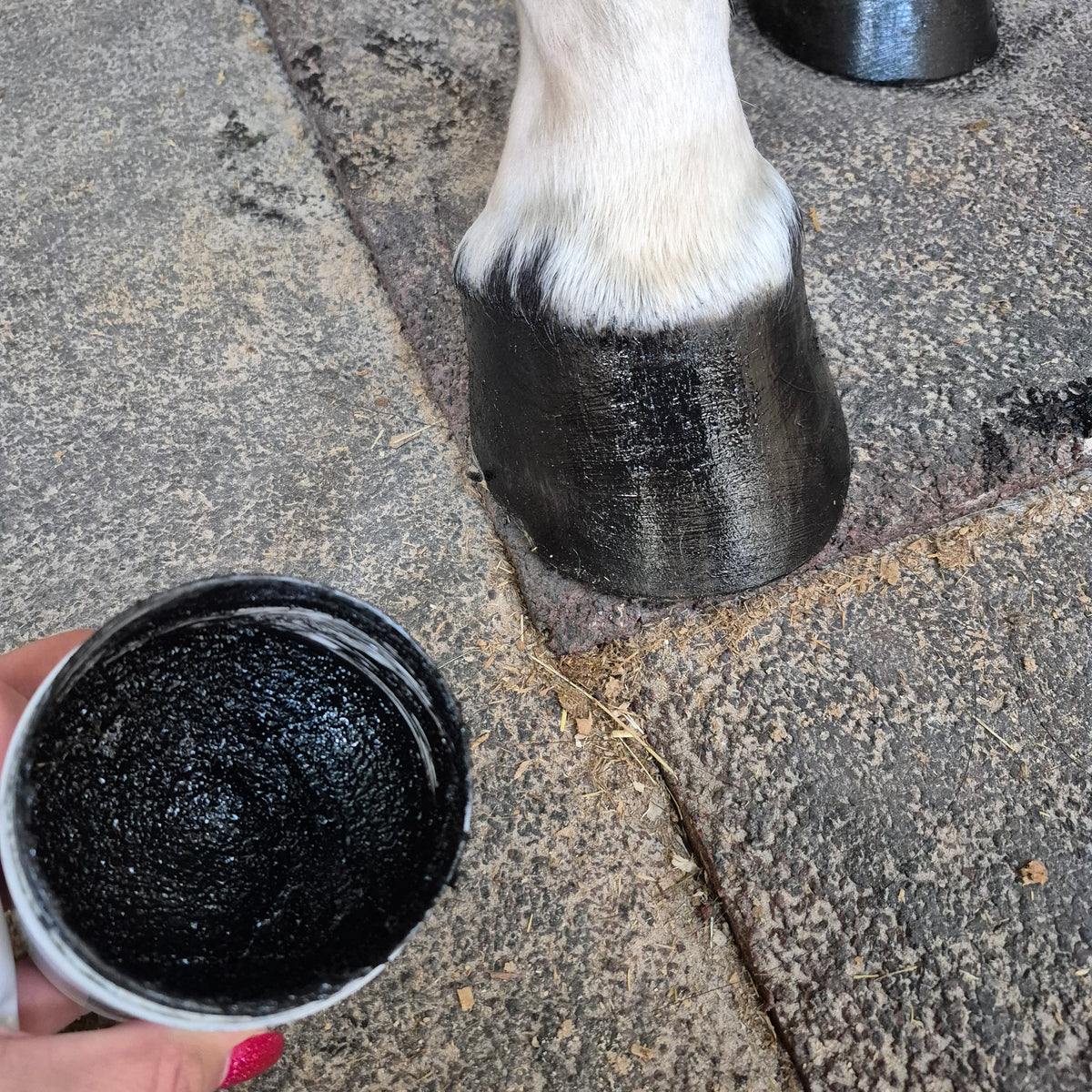 Baume Kissa - Noir intense - 100% naturel