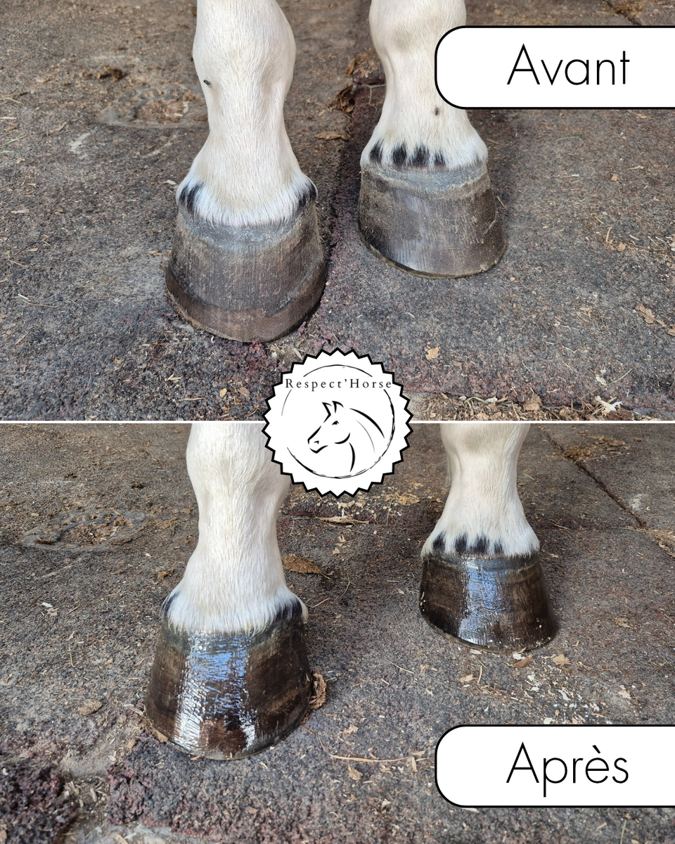 Baume Keo - Soin 100% naturel pour sabots