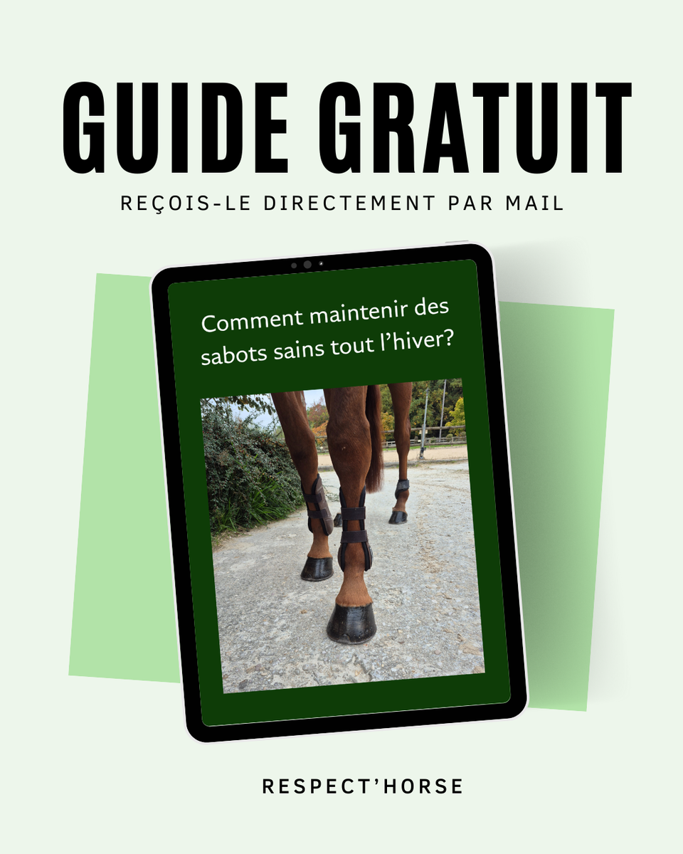 Recevez votre Guide Gratuit dès maintenant!