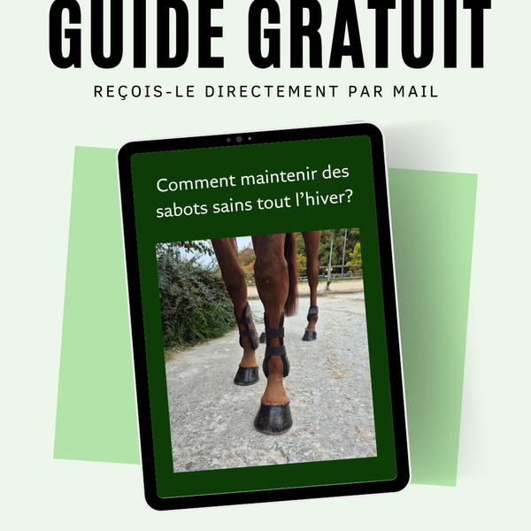 Recevez votre Guide Gratuit dès maintenant!