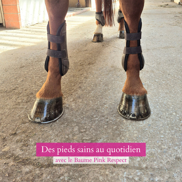 Baume Pink Respect  ÉDITION LIMITÉE