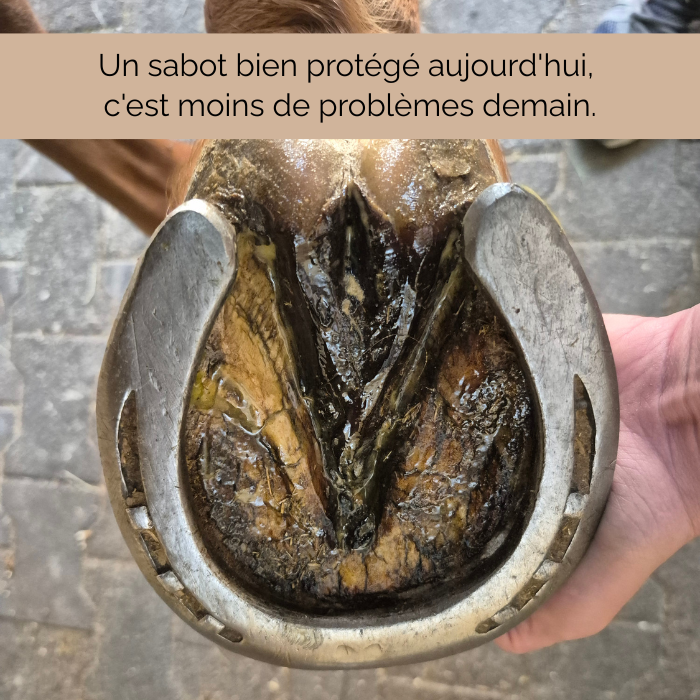 Baume Keo