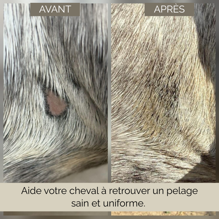 Baume Iaso - Soin régénérant